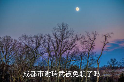 2017成都市委領導班子，成都市現任市長是誰