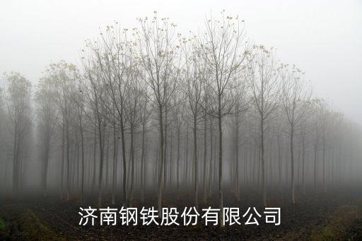 濟南鋼鐵股份有限公司