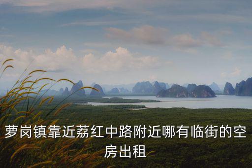 蘿崗鎮(zhèn)靠近荔紅中路附近哪有臨街的空房出租