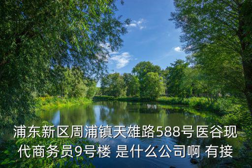 浦東新區(qū)周浦鎮(zhèn)天雄路588號(hào)醫(yī)谷現(xiàn)代商務(wù)員9號(hào)樓 是什么公司啊 有接