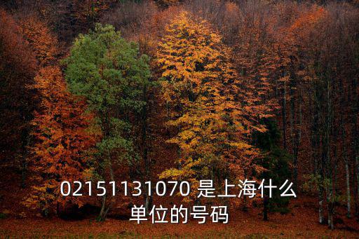 02151131070 是上海什么單位的號碼