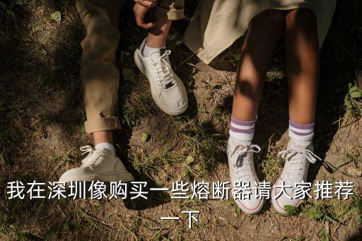 我在深圳像購買一些熔斷器請大家推薦一下