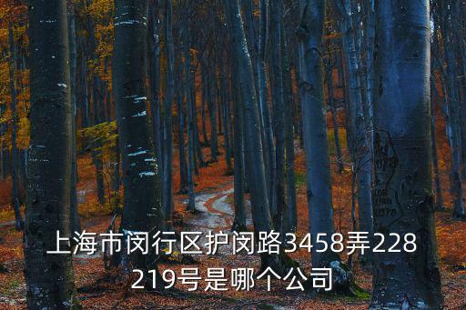 上海市閔行區護閔路3458弄228219號是哪個公司