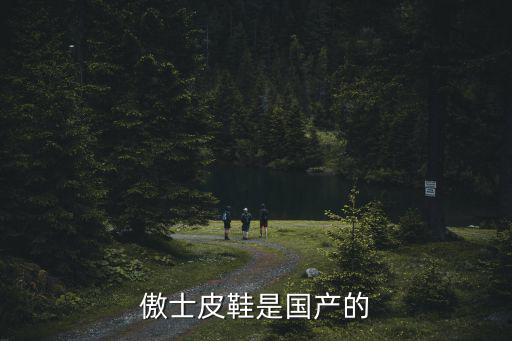 傲士皮鞋是國產的