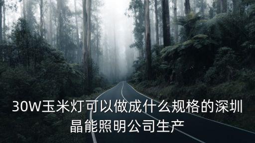 30W玉米燈可以做成什么規格的深圳晶能照明公司生產