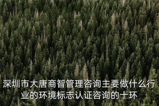 深圳市大唐商智管理咨詢主要做什么行業的環境標志認證咨詢的十環