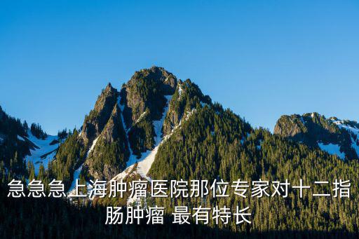 急急急上海腫瘤醫院那位專家對十二指腸腫瘤 最有特長