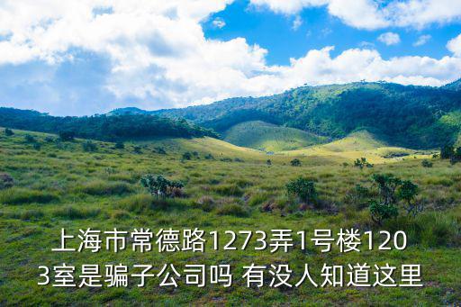 上海市常德路1273弄1號(hào)樓1203室是騙子公司嗎 有沒(méi)人知道這里