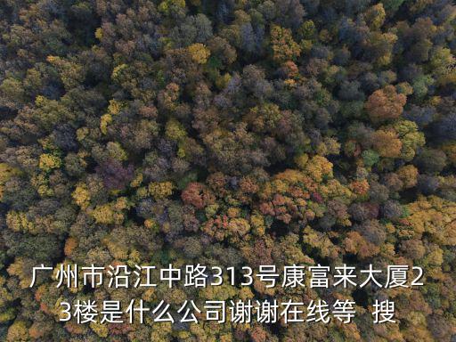 廣州市沿江中路313號康富來大廈23樓是什么公司謝謝在線等  搜
