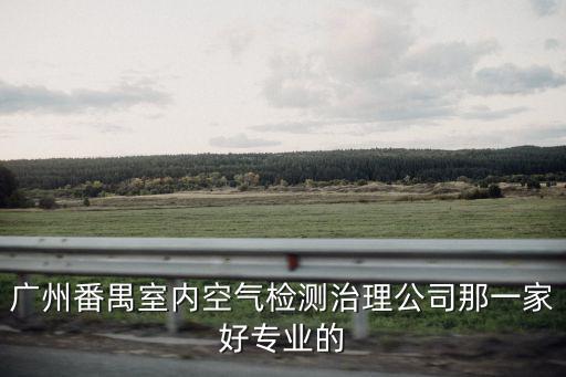 廣州番禺室內(nèi)空氣檢測治理公司那一家好專業(yè)的