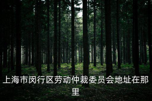 上海市閔行區勞動仲裁委員會地址在那里