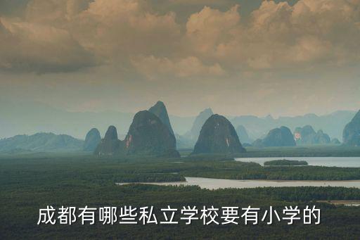 成都有哪些私立學校要有小學的