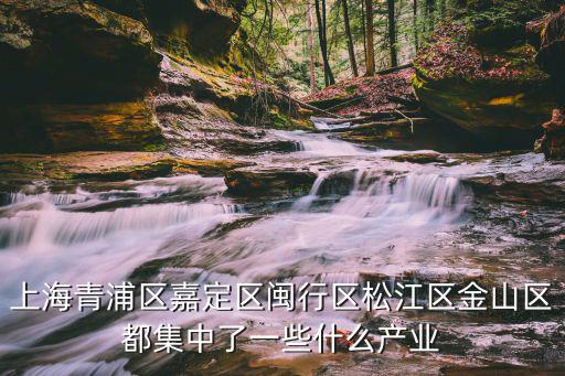 上海青浦區嘉定區閩行區松江區金山區都集中了一些什么產業