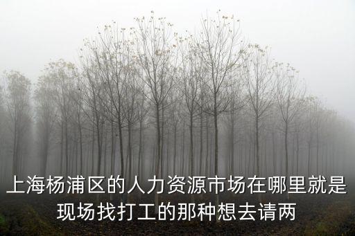 上海楊浦區的人力資源市場在哪里就是現場找打工的那種想去請兩