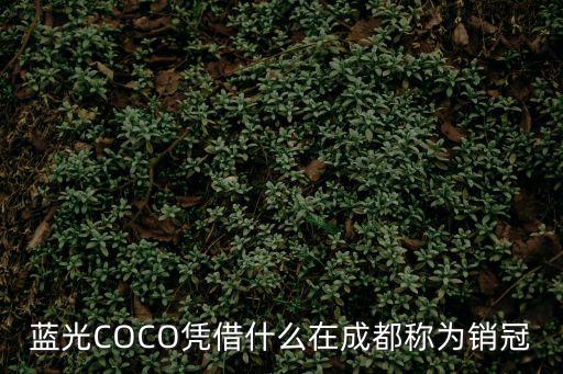 藍光COCO憑借什么在成都稱為銷冠