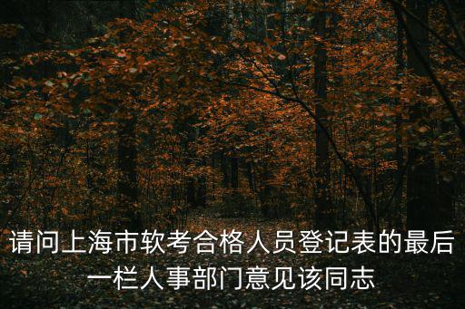 請問上海市軟考合格人員登記表的最后一欄人事部門意見該同志