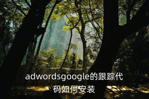 adwordsgoogle的跟蹤代碼如何安裝