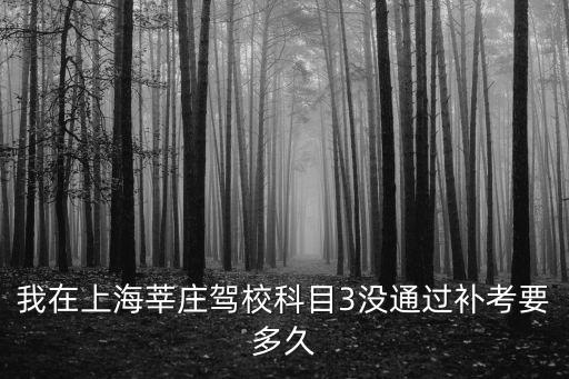 我在上海莘莊駕?？颇?沒通過補考要多久