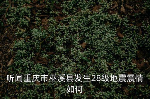 聽聞重慶市巫溪縣發生28級地震震情如何