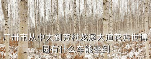 廣卅市從中大到芳村龍溪大道花卉世博園有什么車能坐到