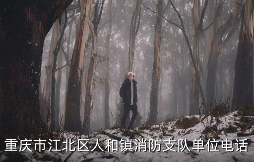 重慶市消防支隊招聘信息，重慶市消防安全技術研究服務有限責任公司待遇怎么樣