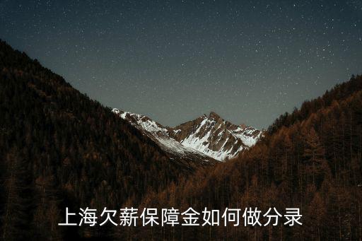 上海欠薪保障金如何做分錄