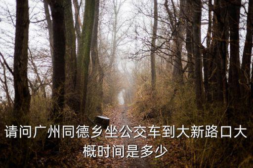 請問廣州同德鄉坐公交車到大新路口大概時間是多少