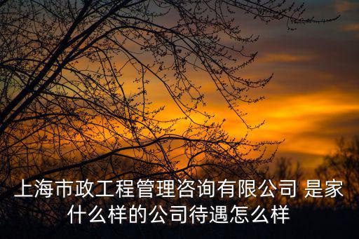 上海市政工程管理咨詢有限公司 是家什么樣的公司待遇怎么樣