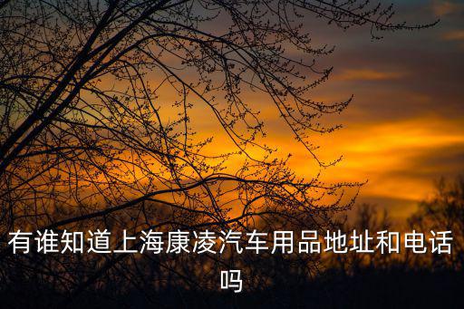 有誰知道上海康凌汽車用品地址和電話嗎