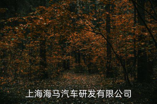 上海海馬汽車研發有限公司