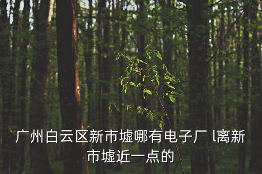 廣州白云區新市墟哪有電子廠 l離新市墟近一點的