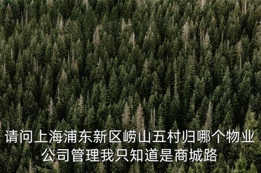 上海市級示范物業，上海市有哪幾家家比較大的物業公司