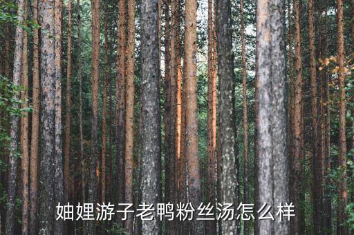 廣州游子老鴨粉絲湯，妯娌老鴨粉絲湯和游子老鴨粉絲湯哪個比較有檔次