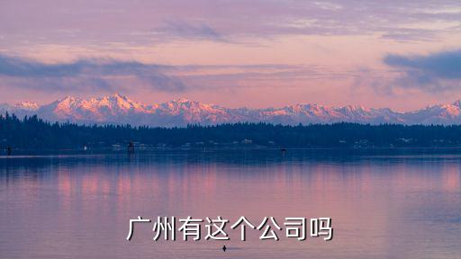 廣州有這個公司嗎