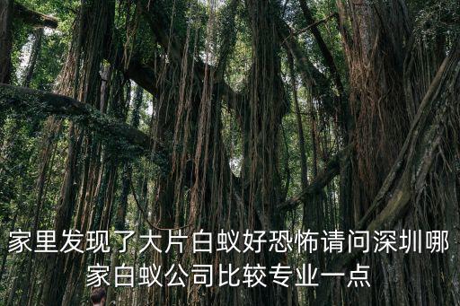 家里發(fā)現(xiàn)了大片白蟻好恐怖請問深圳哪家白蟻公司比較專業(yè)一點