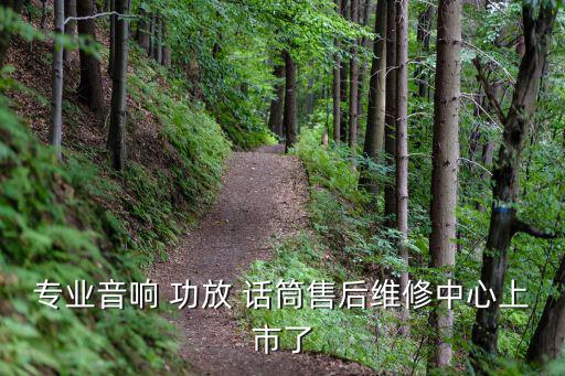 專業(yè)音響 功放 話筒售后維修中心上市了