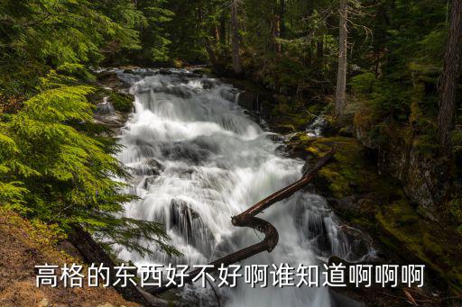 高格的東西好不好啊誰知道啊啊啊
