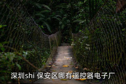 深圳shi 保安區(qū)哪有遙控器電子廠