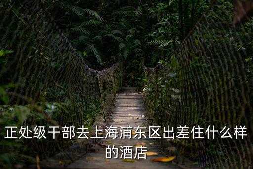 正處級干部去上海浦東區出差住什么樣的酒店
