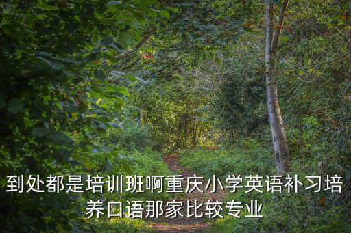 到處都是培訓班啊重慶小學英語補習培養口語那家比較專業
