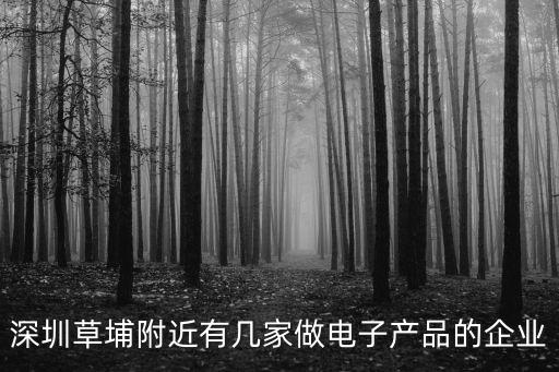 深圳草埔附近有幾家做電子產品的企業