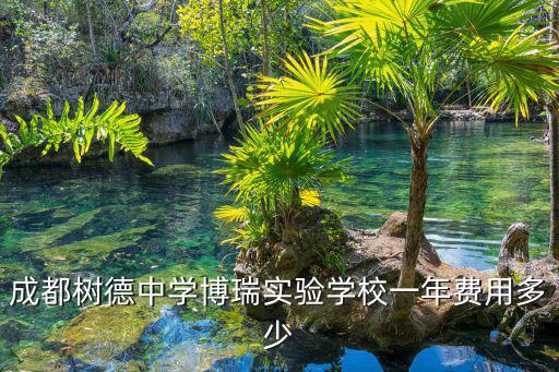 成都樹德中學博瑞實驗學校一年費用多少