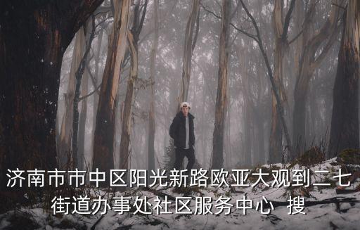 濟南市市中區陽光新路歐亞大觀到二七街道辦事處社區服務中心  搜