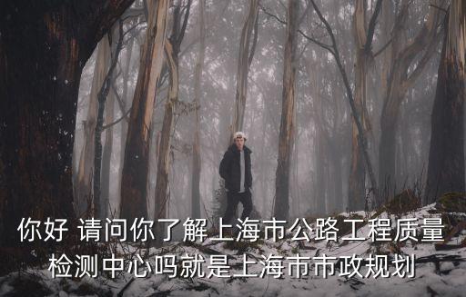 你好 請問你了解上海市公路工程質量檢測中心嗎就是上海市市政規(guī)劃