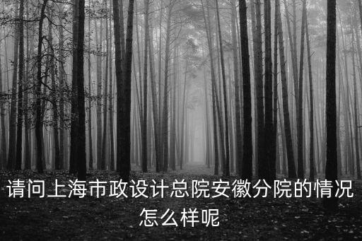 請問上海市政設(shè)計總院安徽分院的情況怎么樣呢