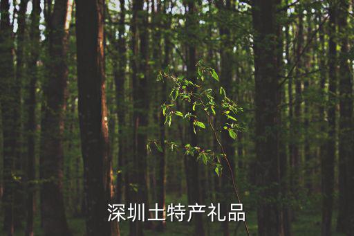 深圳土特產禮品