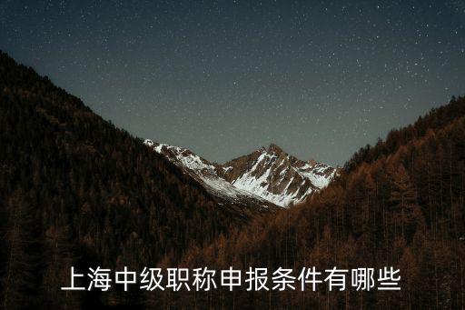 上海中級職稱申報(bào)條件有哪些