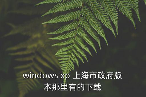 windows xp 上海市政府版本那里有的下載