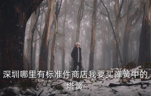 深圳昌盛宏，深圳愛聯昌盛百貨招不招促銷員急