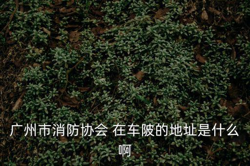 廣州市消防協會 在車陂的地址是什么啊